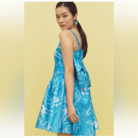 NWT Anthropologie Hutch Sleeveless Back-Bow Basque-Waist
Mini Dress Sz Large - Picture 3 of 15